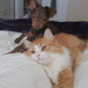 Meet your Posher, Kelsey